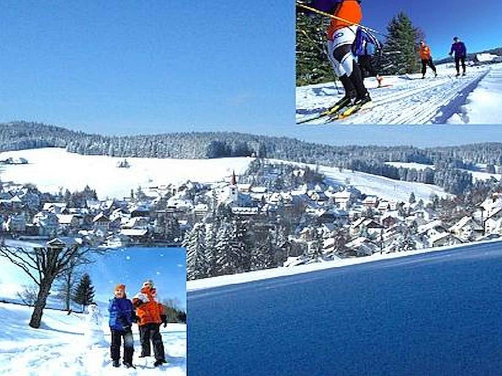 Appartmentvermietung Terrassenpark Schonach Schonach im Schwarzwald Exterior photo